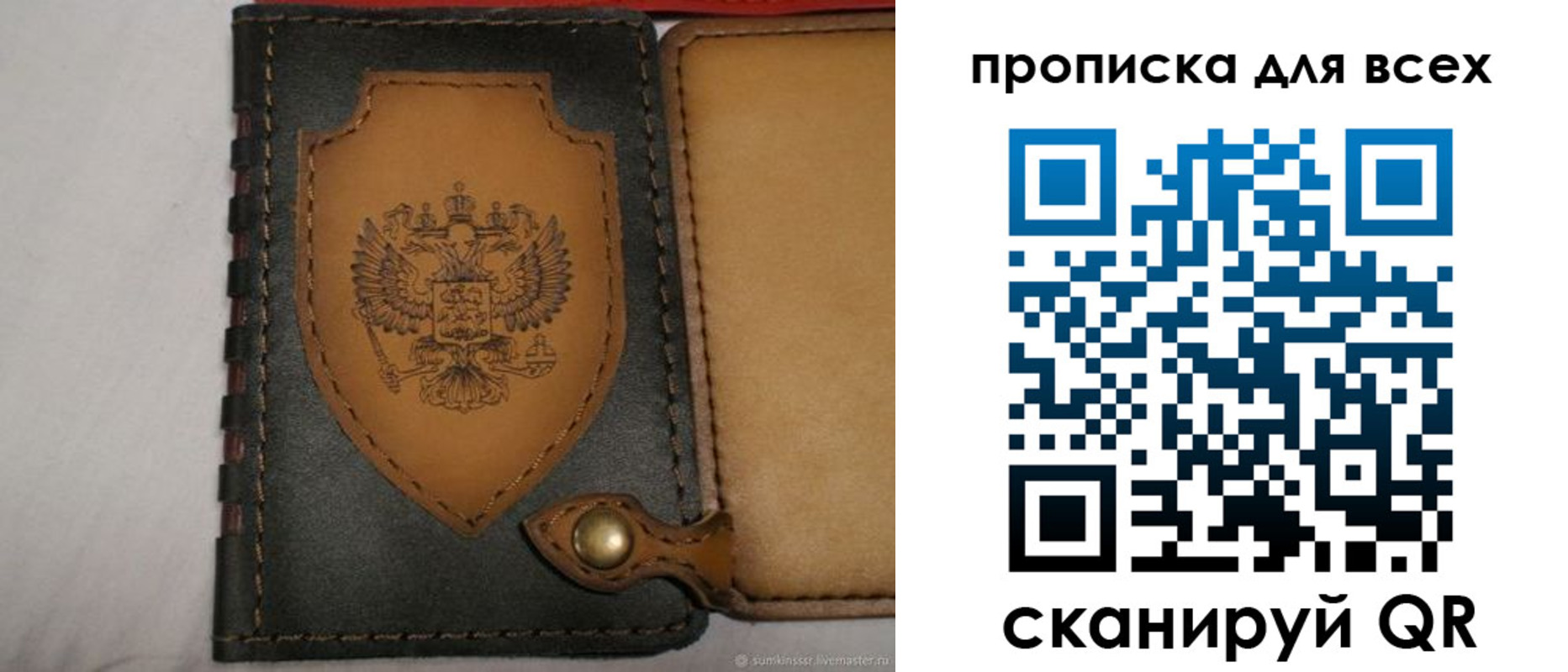прописка для школы в Домодедово